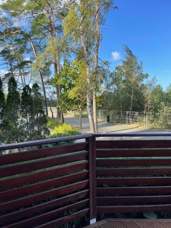 Apartament Marina دجيفنوفيك المظهر الخارجي الصورة